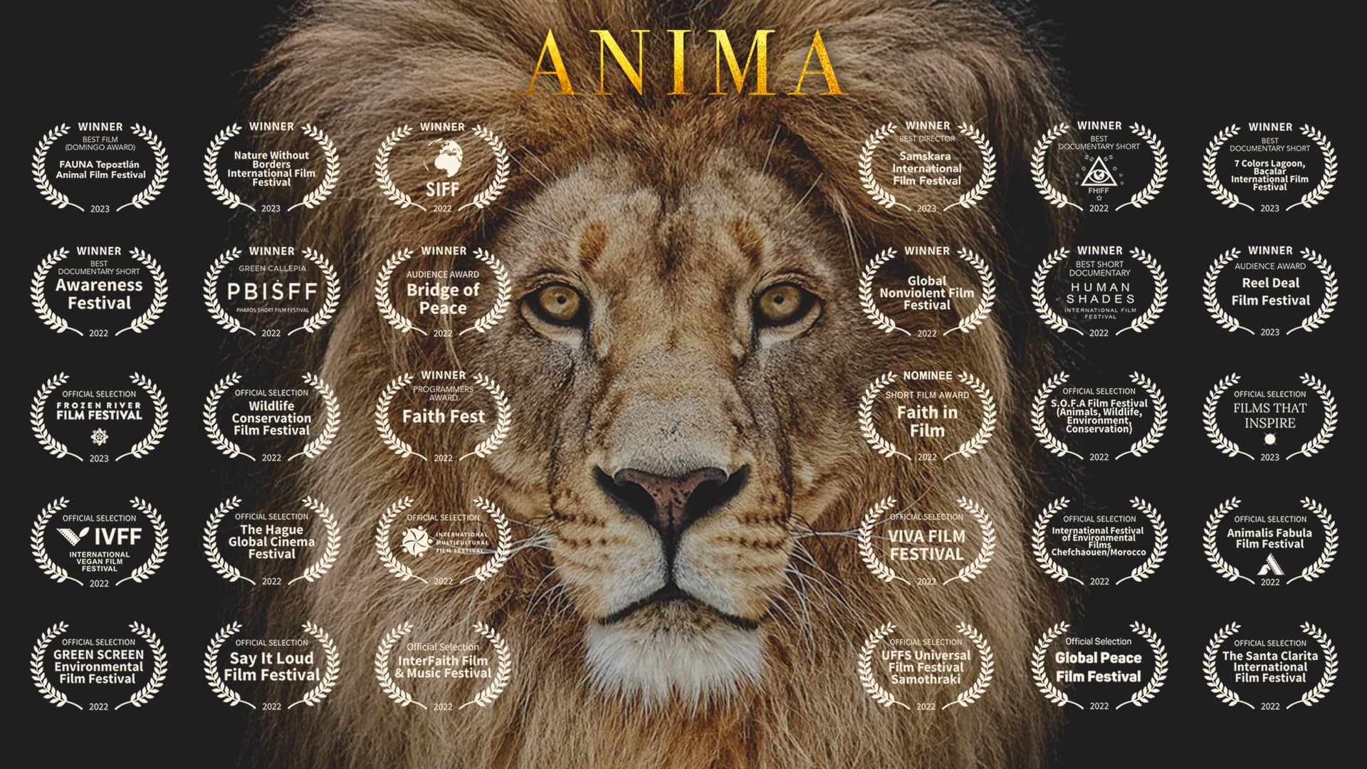 ANIMA WINTER AWARDS & SCREENINGS - Flying Limbs